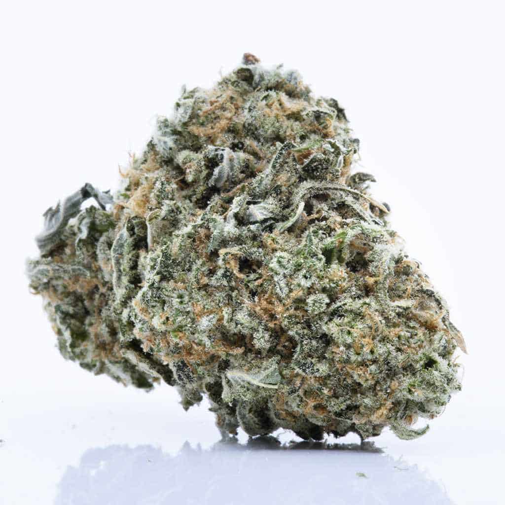 Xpressbud.to | Buy Weed Online At The Lowest Prices In Canada