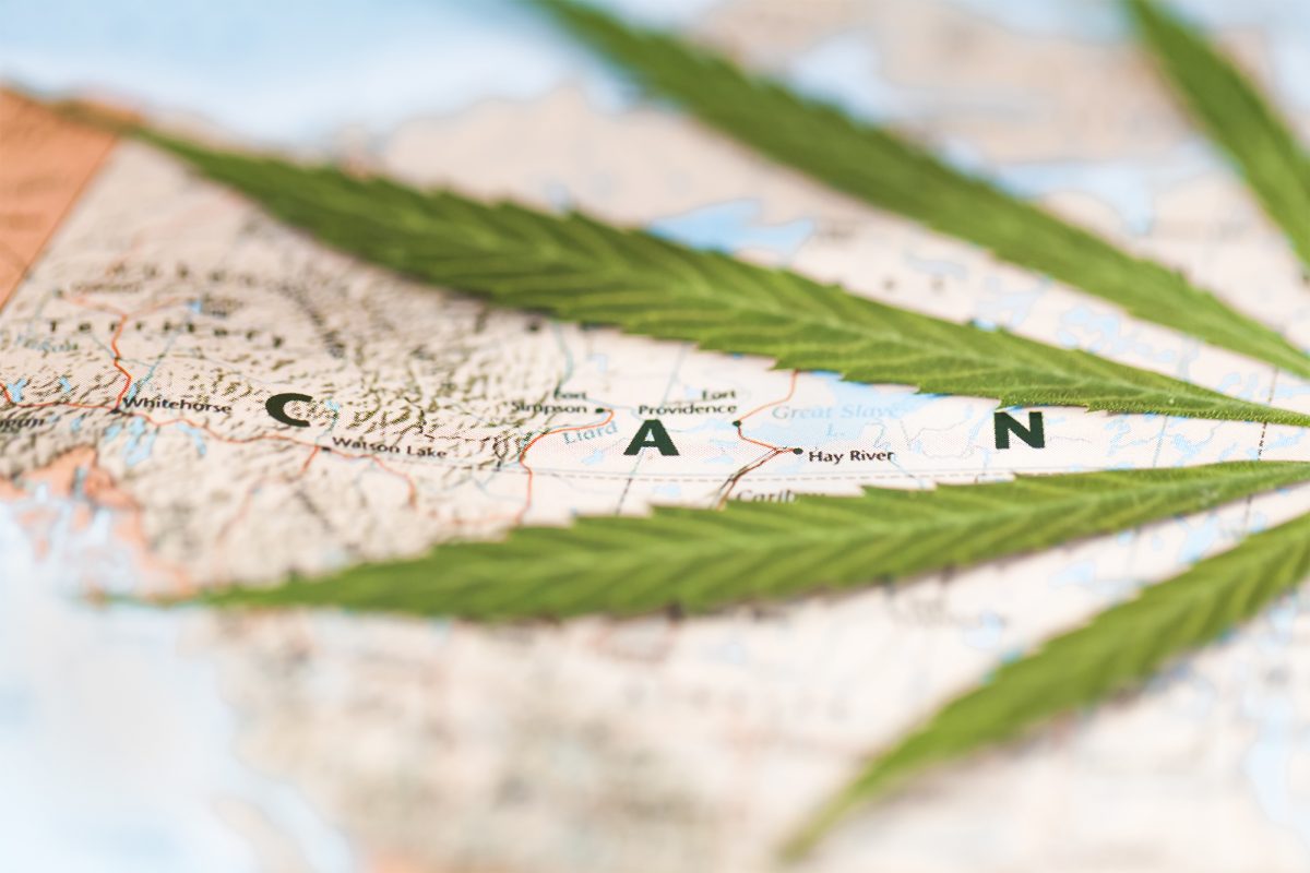 Buy weed online, Dispensary, Cannabis, Marijuana