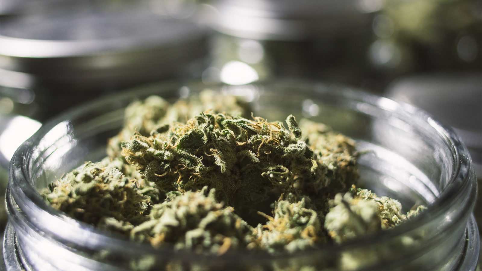 Buy weed online! Premium cannabis dispensary with the cheapest prices online.