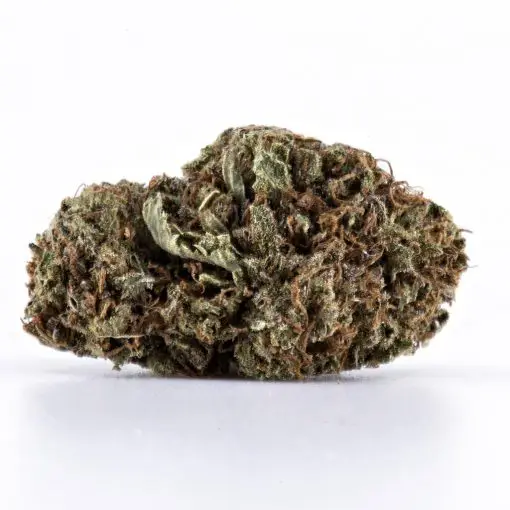 Xpressbud.shop - Canada's Premium Cannabis Dispensary. Free 1/8th Oz. on first orders. When you buy weed online with us, it's discreet, safe, secure & shipping guaranteed.