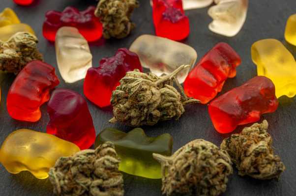 Buy weed online, Dispensary, Cannabis, Marijuana, xpressbud, express bud