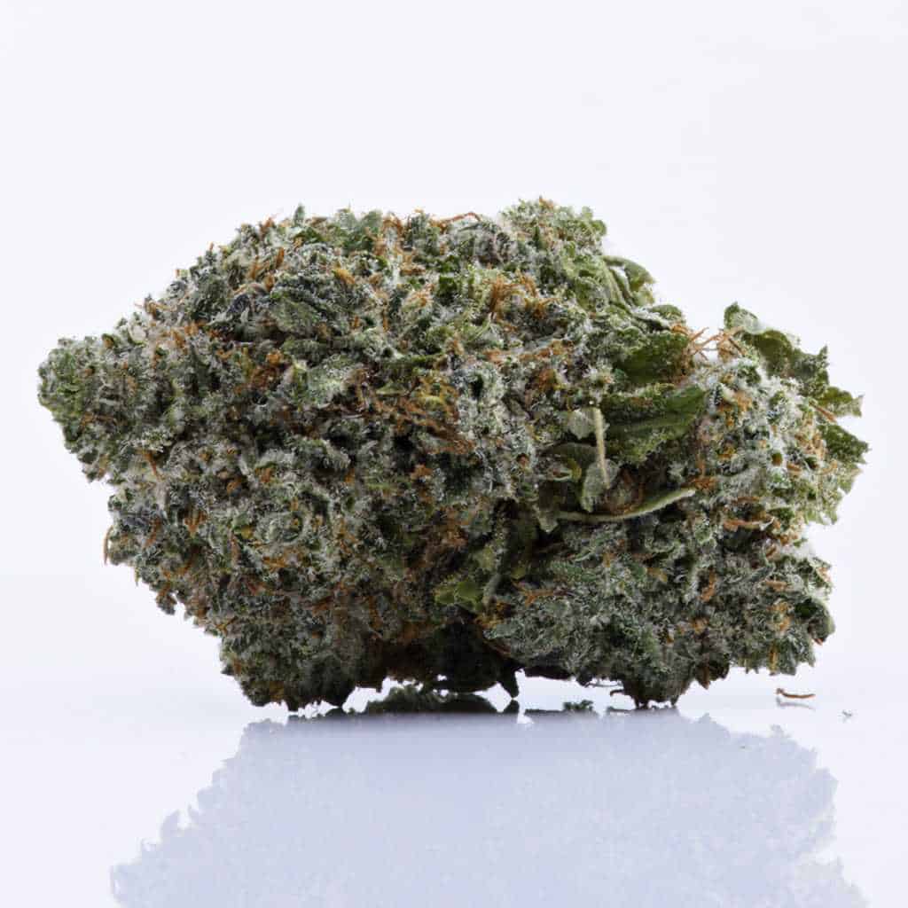 Lemon Kush Xpressbud.to