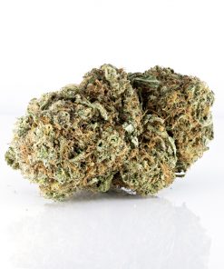 Xpressbud.shop - Canada's Premium Cannabis Dispensary. Free 1/8th Oz. on first orders. When you buy weed online with us, it's discreet, safe, secure & shipping guaranteed.