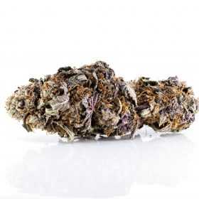 Xpressbud.shop - Canada's Premium Cannabis Dispensary. Free 1/8th Oz. on first orders. When you buy weed online with us, it's discreet, safe, secure & shipping guaranteed.