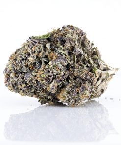 Xpressbud.shop - Canada's Premium Cannabis Dispensary. Free 1/8th Oz. on first orders. When you buy weed online with us, it's discreet, safe, secure & shipping guaranteed.