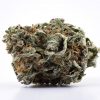 Xpressbud.shop - Canada's Premium Cannabis Dispensary. Free 1/8th Oz. on first orders. When you buy weed online with us, it's discreet, safe, secure & shipping guaranteed.
