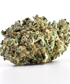 Xpressbud.shop - Canada's Premium Cannabis Dispensary. Free 1/8th Oz. on first orders. When you buy weed online with us, it's discreet, safe, secure & shipping guaranteed.