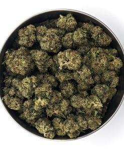 Miracle Alien Cookies