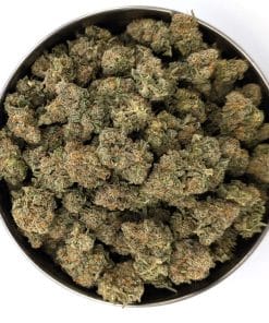 Gorilla Cookies Budget Strain Ounces