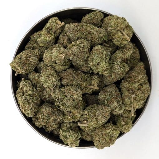 Buy Pink Kush Online now