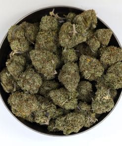 Rockstar Discount Oz